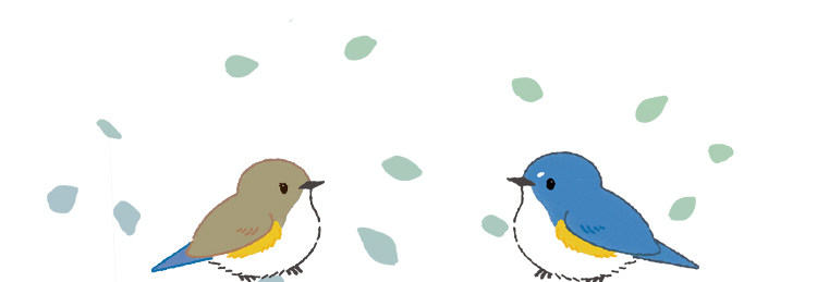 小鳥のイラスト